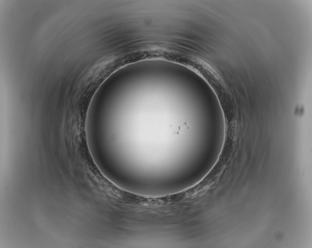 X0000092001111200709061433