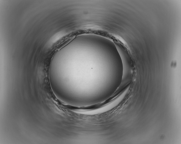 X0000092001112200709061433