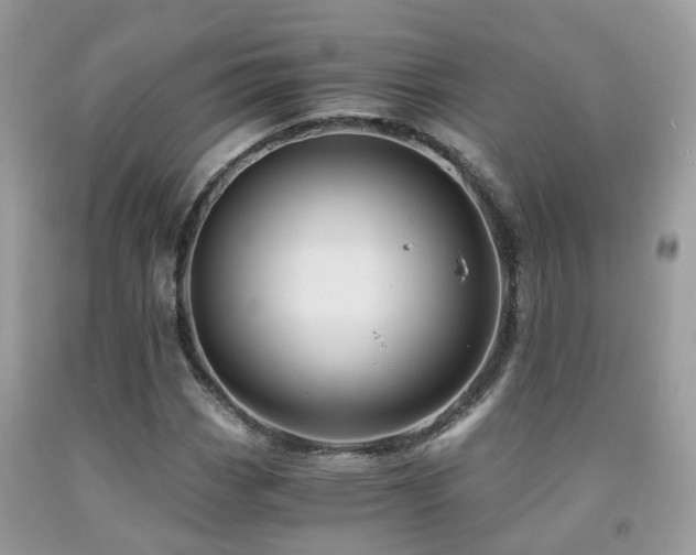 X0000092001113200709061433
