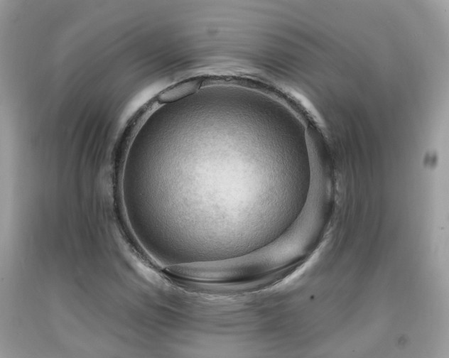 X0000092001114200709061433