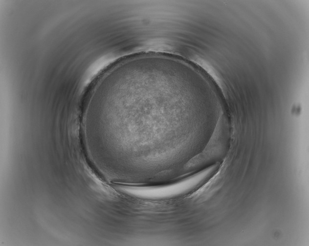 X0000092001115200709061433