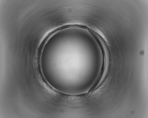 X0000092001116200709061433