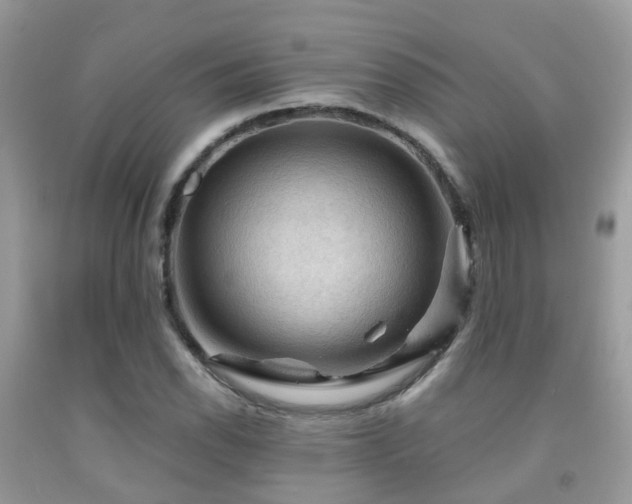 X0000092001118200709061433