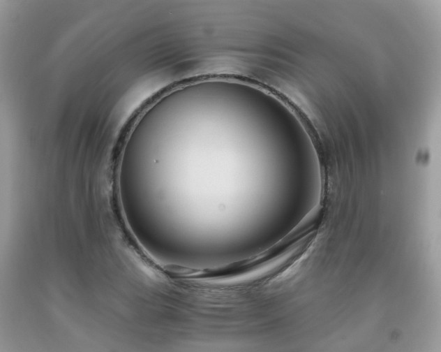 X0000092001119200709061433