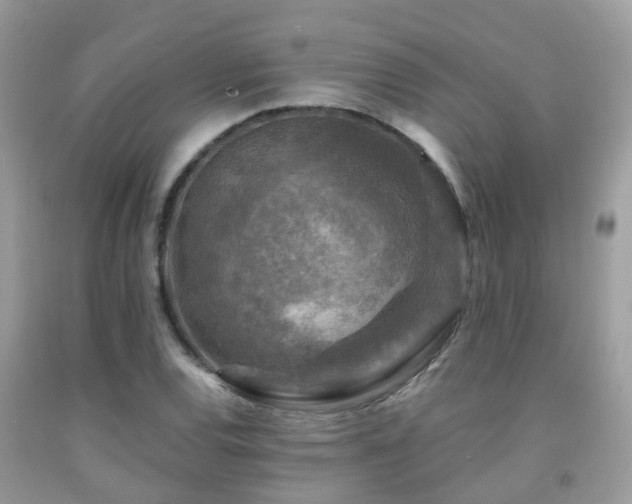 X0000092001120200709061433