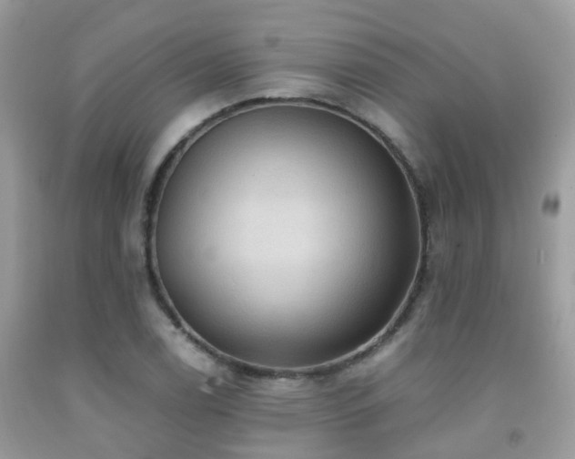 X0000092001122200709061433