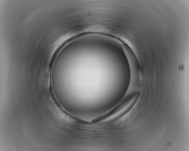 X0000092001123200709061433