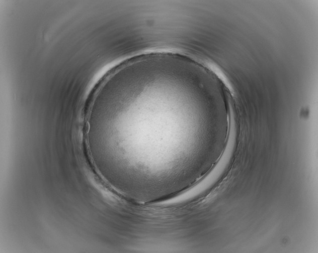 X0000092001124200709061433