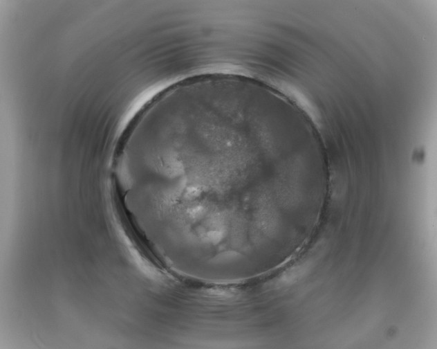X0000092001125200709061433