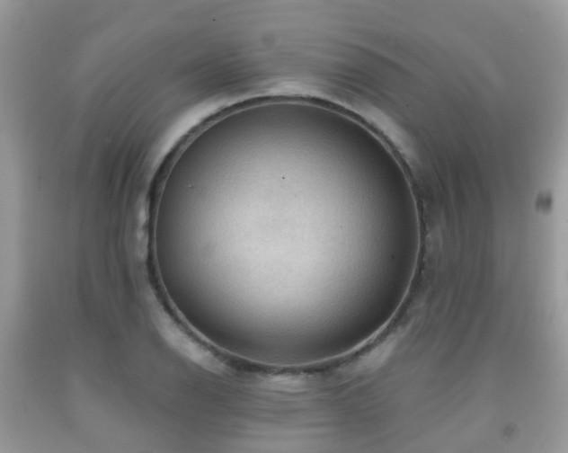 X0000092001126200709061433