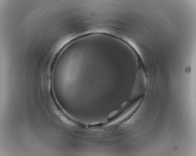 X0000092001127200709061433