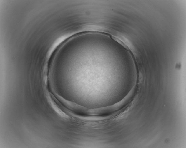 X0000092001128200709061433