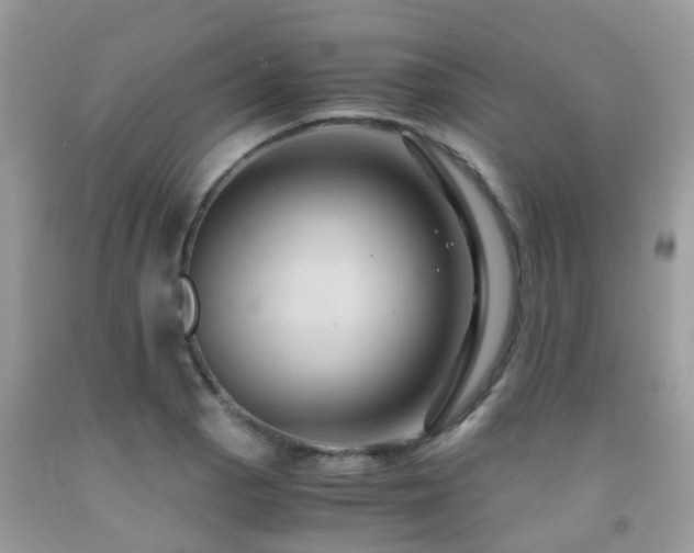 X0000092001129200709061433