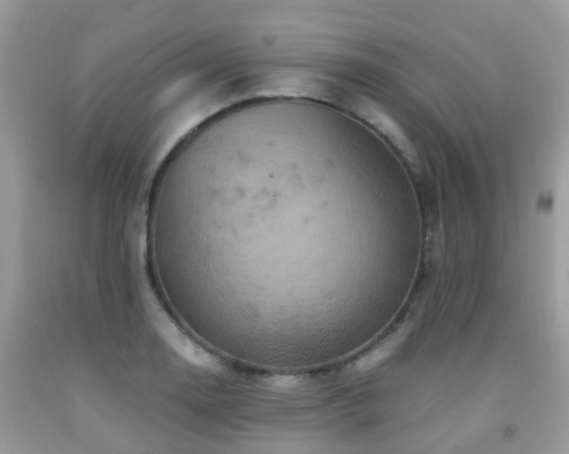 X0000092001130200709061433