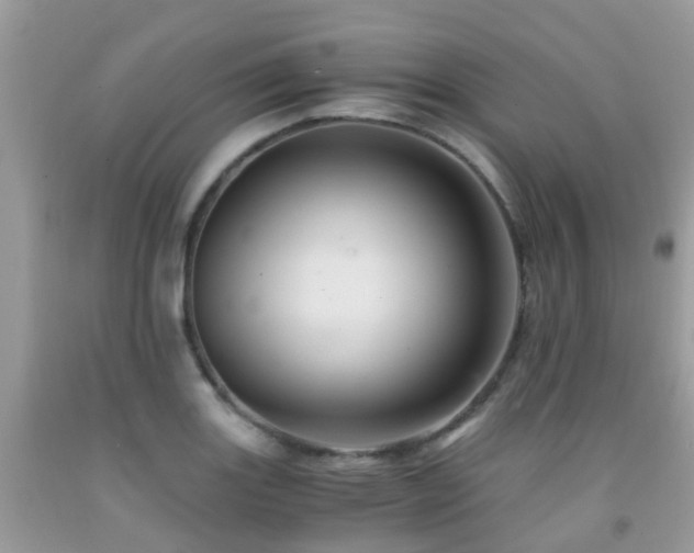 X0000092001131200709061433