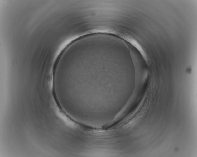 X0000092001132200709061433