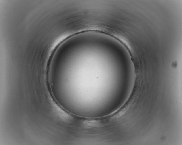 X0000092001135200709061433