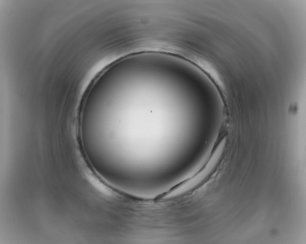 X0000092001136200709061433