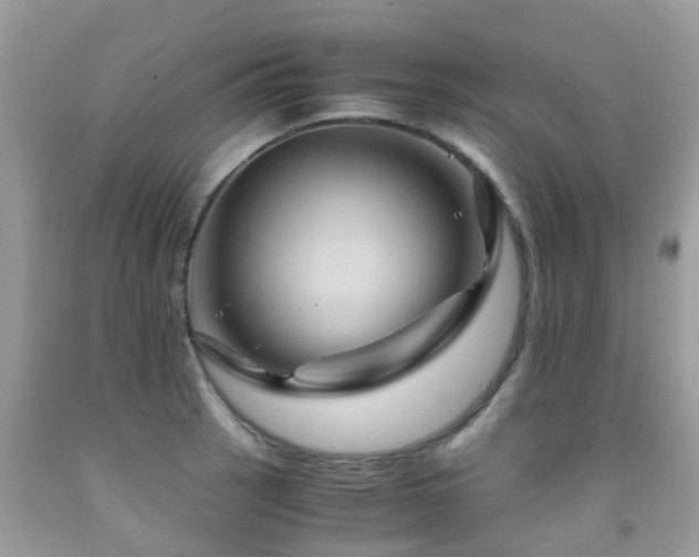 X0000092001137200709061433