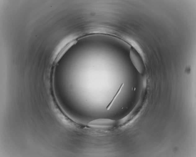 X0000092001138200709061433