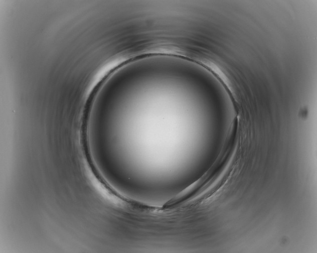 X0000092001139200709061433