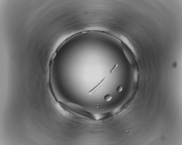X0000092001140200709061433