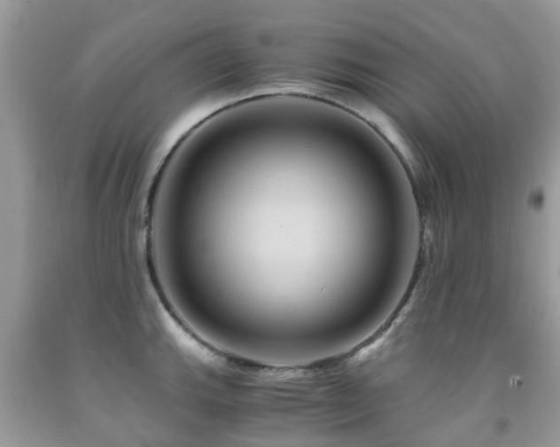 X0000092001143200709061433