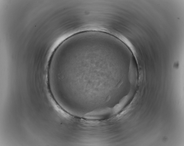 X0000092001144200709061433