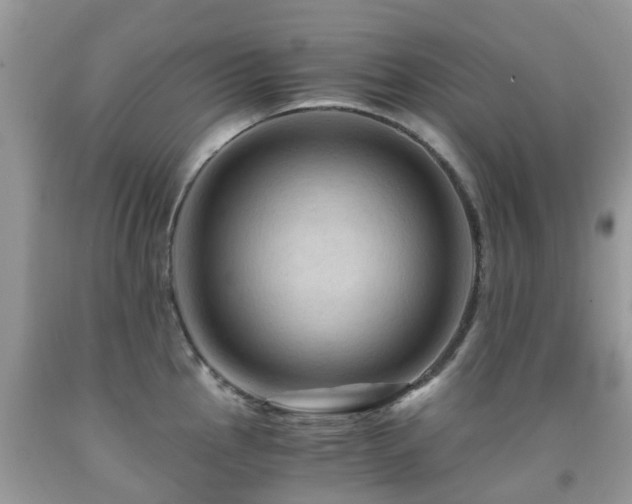 X0000092001145200709061433