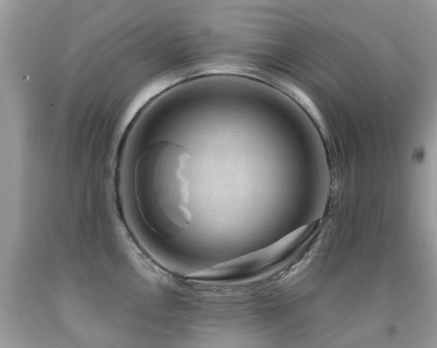 X0000092001146200709061433