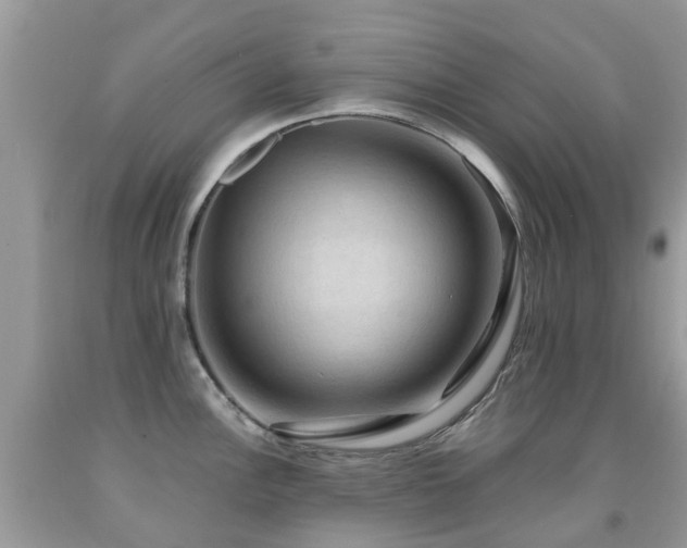 X0000092001148200709061433