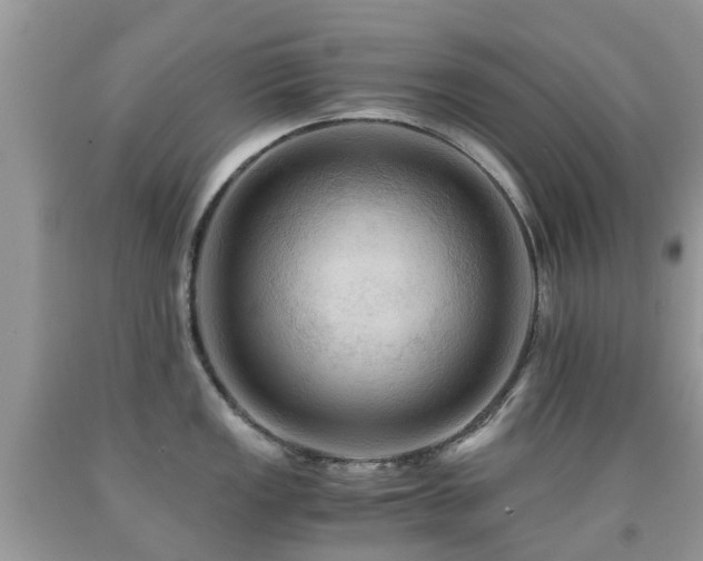 X0000092001149200709061433