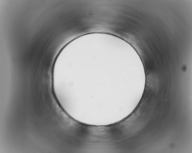 X0000092001150200709061433
