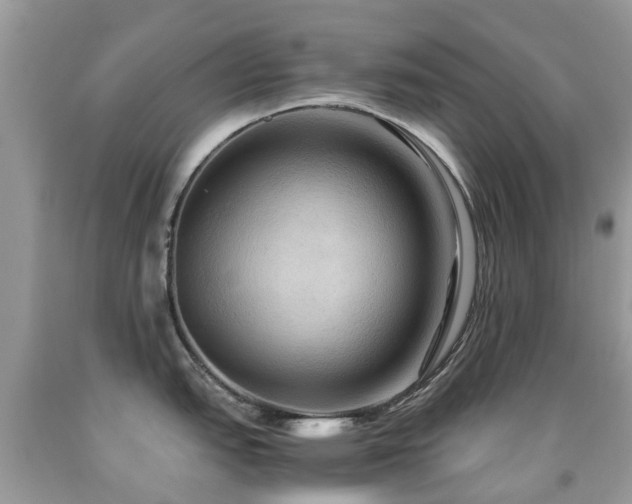 X0000092001151200709061434