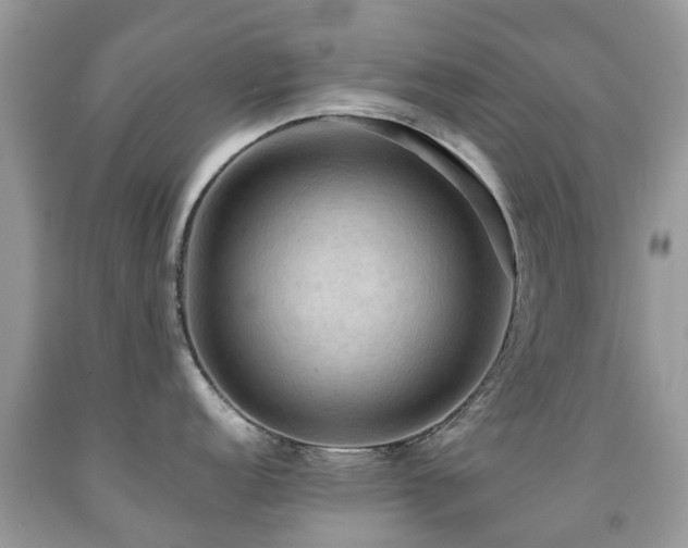 X0000092001152200709061434