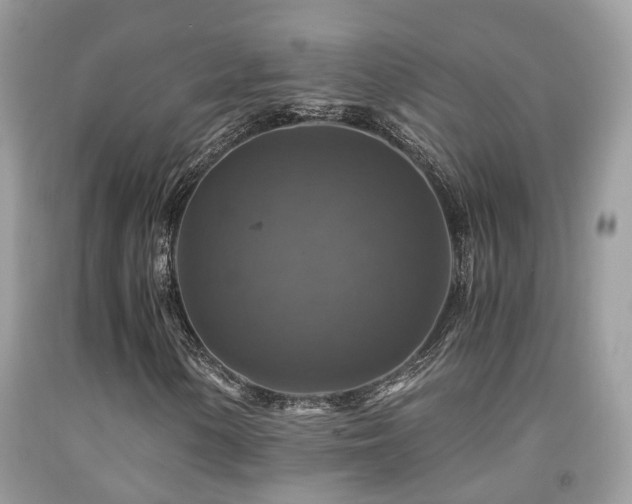 X0000092001154200709061433