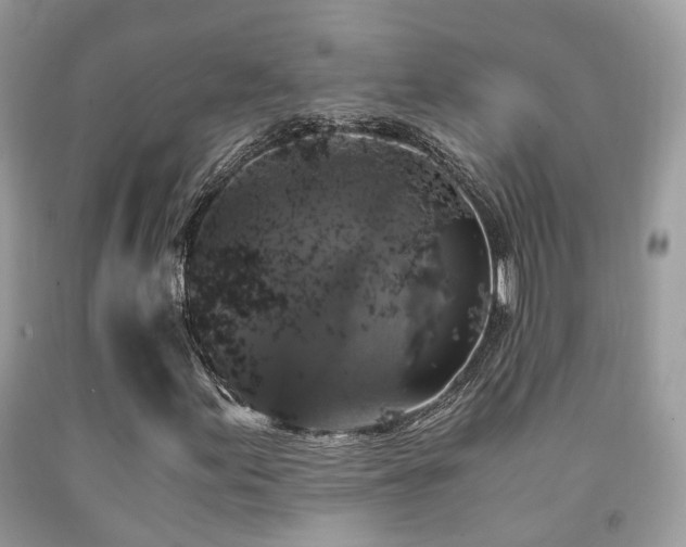 X0000092001155200709061433