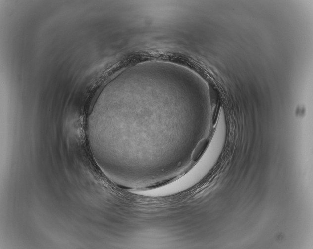 X0000092001156200709061433