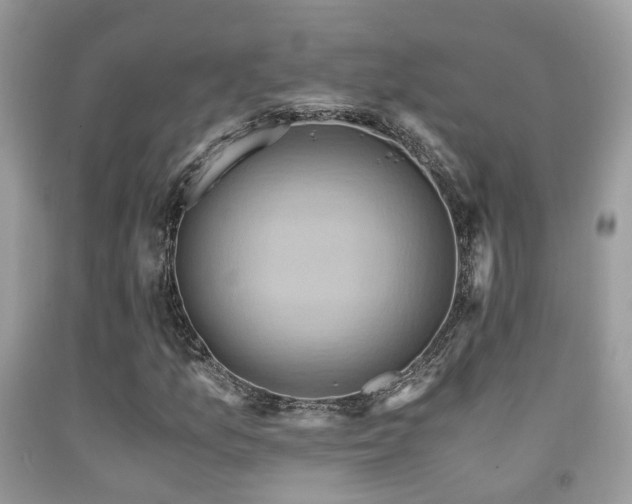 X0000092001157200709061433