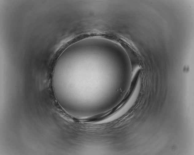 X0000092001160200709061433