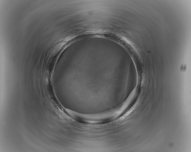 X0000092001161200709061433