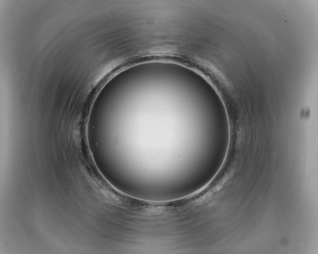 X0000092001162200709061433