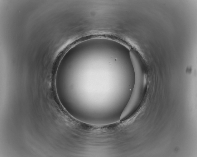 X0000092001165200709061433