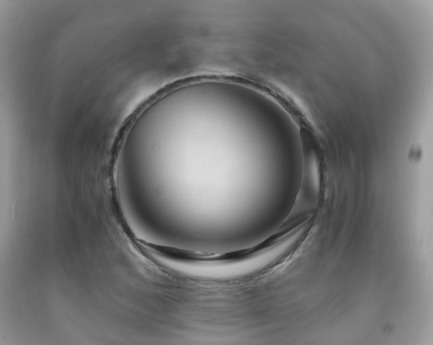 X0000092001168200709061433