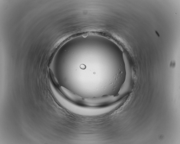X0000092001169200709061433