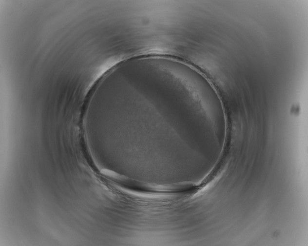 X0000092001170200709061433