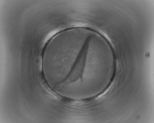 X0000092001171200709061433