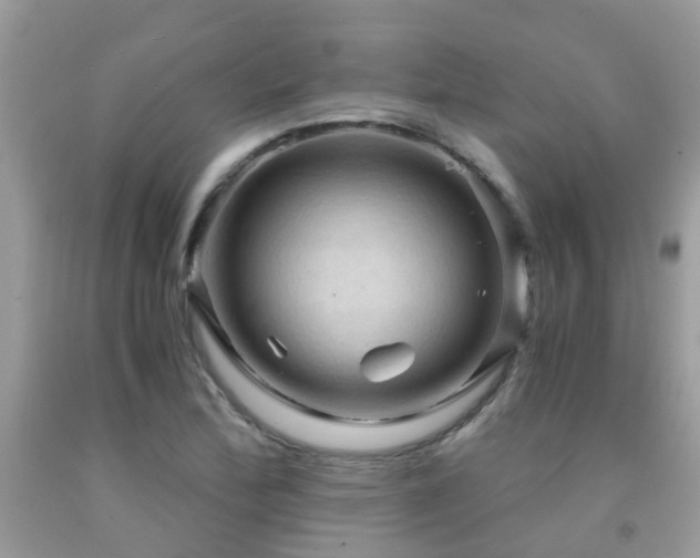 X0000092001172200709061433