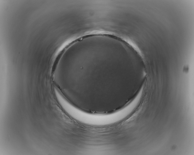 X0000092001173200709061433