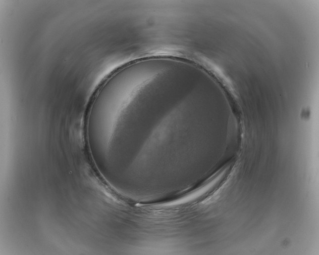 X0000092001174200709061433